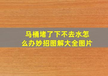 马桶堵了下不去水怎么办妙招图解大全图片