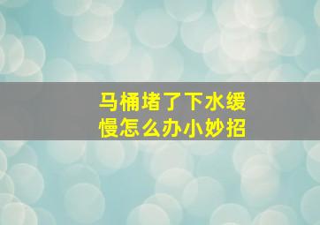 马桶堵了下水缓慢怎么办小妙招