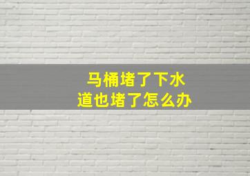 马桶堵了下水道也堵了怎么办