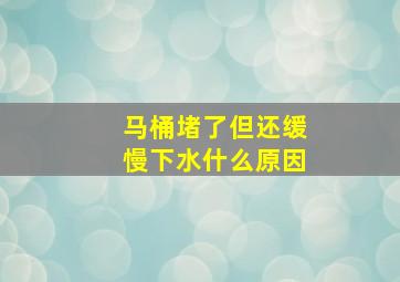 马桶堵了但还缓慢下水什么原因