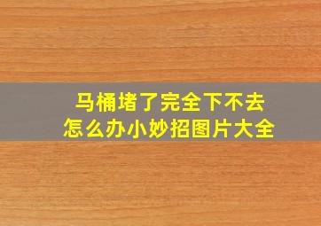 马桶堵了完全下不去怎么办小妙招图片大全