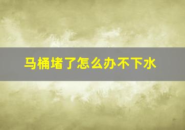 马桶堵了怎么办不下水