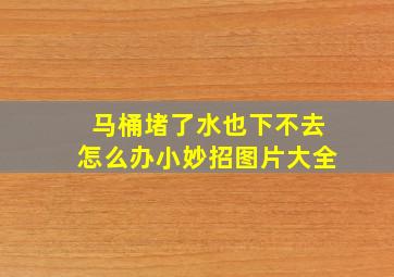 马桶堵了水也下不去怎么办小妙招图片大全