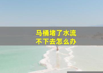 马桶堵了水流不下去怎么办