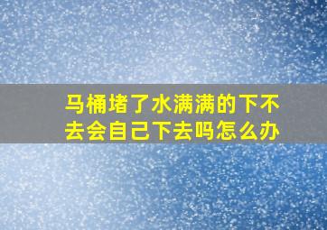 马桶堵了水满满的下不去会自己下去吗怎么办