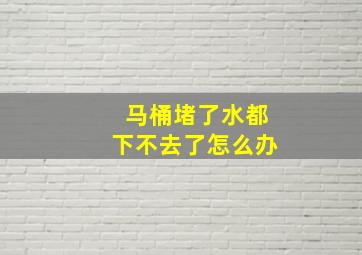 马桶堵了水都下不去了怎么办