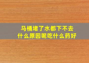 马桶堵了水都下不去什么原因呢吃什么药好