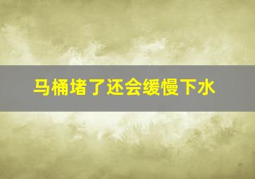 马桶堵了还会缓慢下水