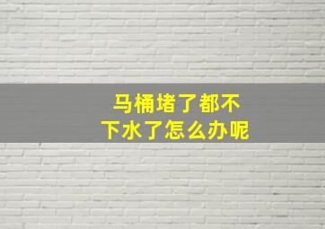 马桶堵了都不下水了怎么办呢