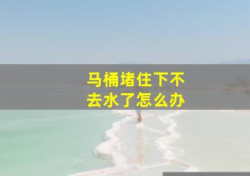 马桶堵住下不去水了怎么办