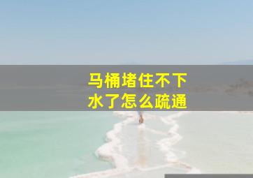 马桶堵住不下水了怎么疏通