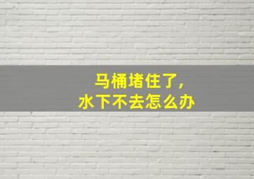 马桶堵住了,水下不去怎么办