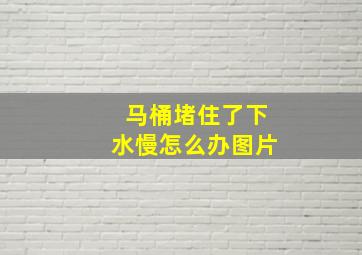 马桶堵住了下水慢怎么办图片