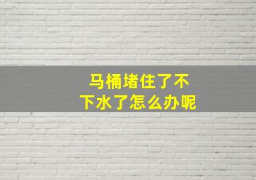 马桶堵住了不下水了怎么办呢