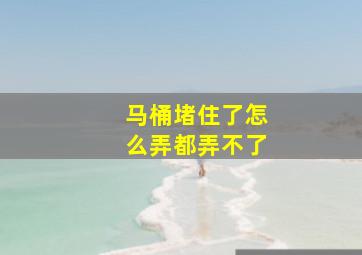 马桶堵住了怎么弄都弄不了