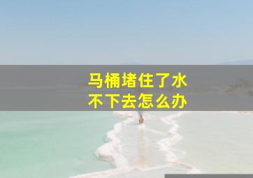 马桶堵住了水不下去怎么办