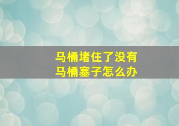 马桶堵住了没有马桶塞子怎么办