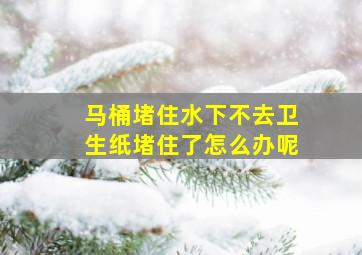 马桶堵住水下不去卫生纸堵住了怎么办呢