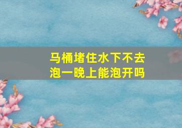 马桶堵住水下不去泡一晚上能泡开吗