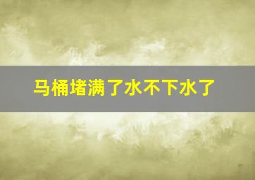 马桶堵满了水不下水了