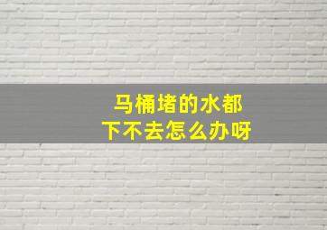 马桶堵的水都下不去怎么办呀