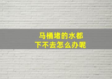 马桶堵的水都下不去怎么办呢