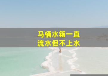 马桶水箱一直流水但不上水