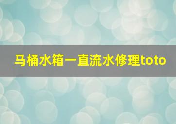 马桶水箱一直流水修理toto