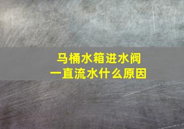 马桶水箱进水阀一直流水什么原因