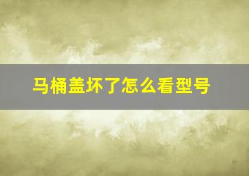 马桶盖坏了怎么看型号