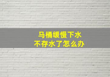 马桶缓慢下水不存水了怎么办