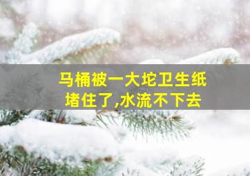 马桶被一大坨卫生纸堵住了,水流不下去