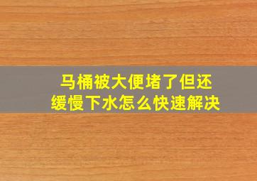 马桶被大便堵了但还缓慢下水怎么快速解决