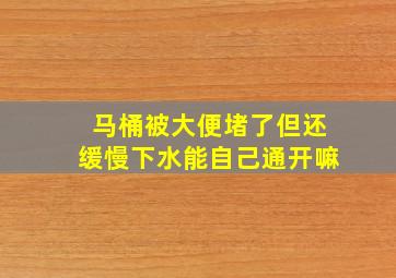 马桶被大便堵了但还缓慢下水能自己通开嘛