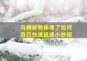 马桶被物体堵了如何自己快速疏通小妙招