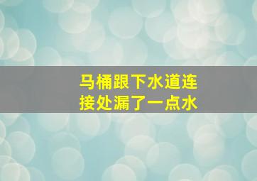 马桶跟下水道连接处漏了一点水