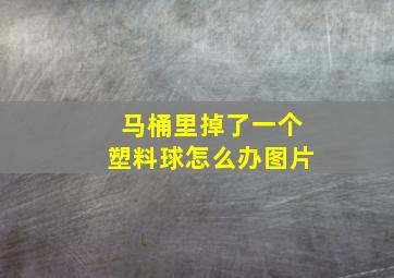 马桶里掉了一个塑料球怎么办图片