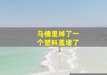 马桶里掉了一个塑料盖堵了