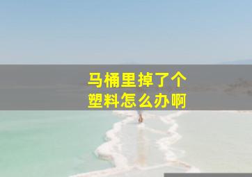 马桶里掉了个塑料怎么办啊