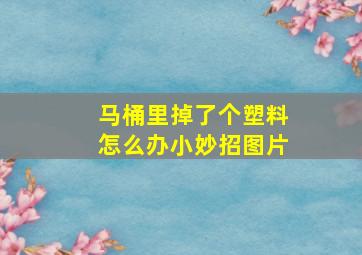 马桶里掉了个塑料怎么办小妙招图片