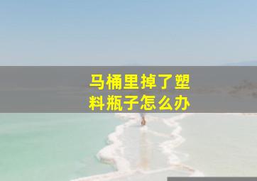 马桶里掉了塑料瓶子怎么办