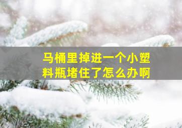 马桶里掉进一个小塑料瓶堵住了怎么办啊