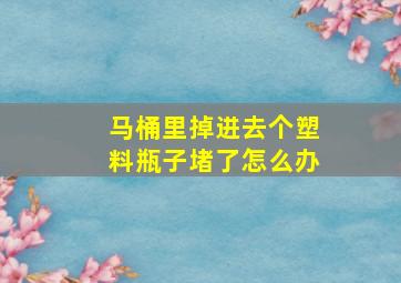 马桶里掉进去个塑料瓶子堵了怎么办