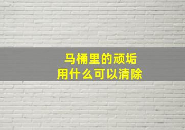 马桶里的顽垢用什么可以清除