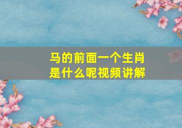 马的前面一个生肖是什么呢视频讲解