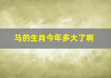 马的生肖今年多大了啊