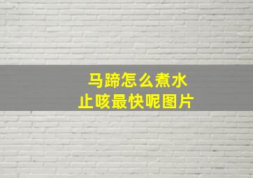 马蹄怎么煮水止咳最快呢图片