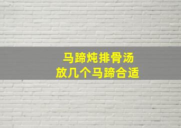 马蹄炖排骨汤放几个马蹄合适