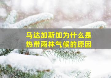 马达加斯加为什么是热带雨林气候的原因