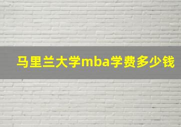 马里兰大学mba学费多少钱